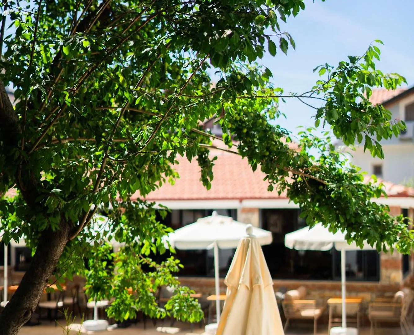 Hotel Marla Suite Fethiye Turchia